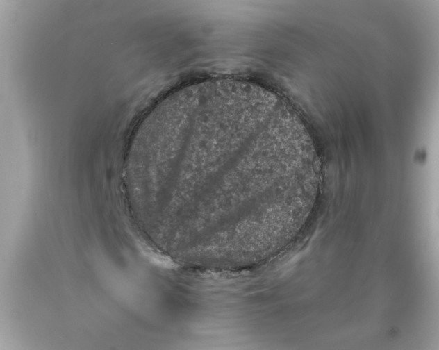 X0000089950913200707201922