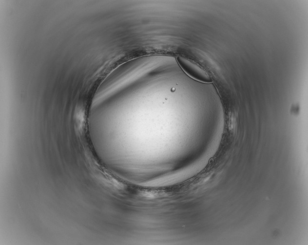 X0000089950915200707201922