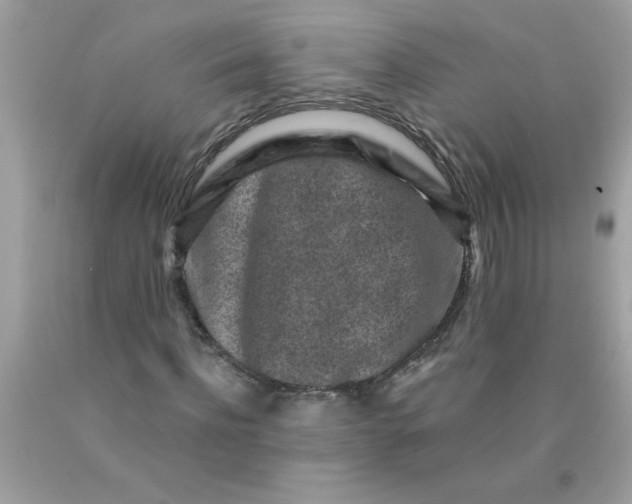 X0000089950916200707201922