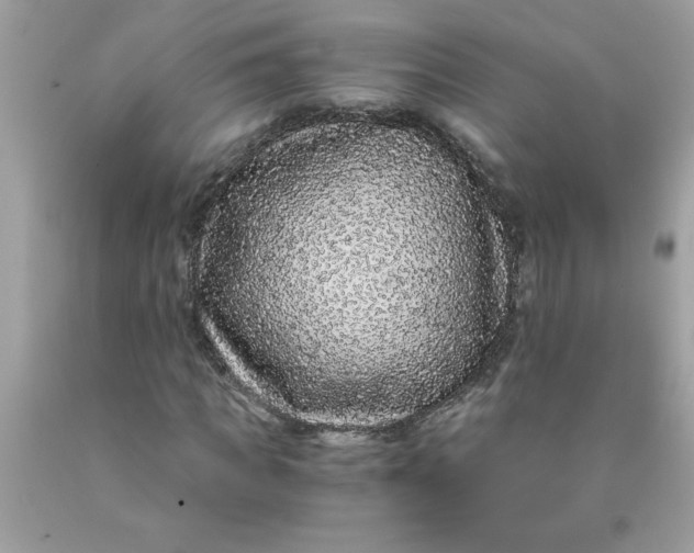 X0000089950917200707201922