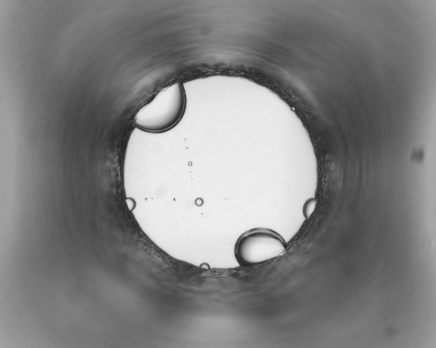 X0000089950918200707201922