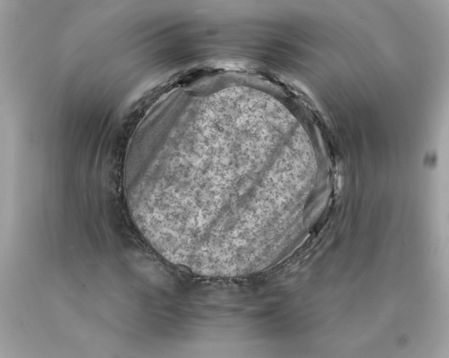 X0000089950919200707201922