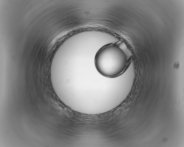 X0000089950920200707201922