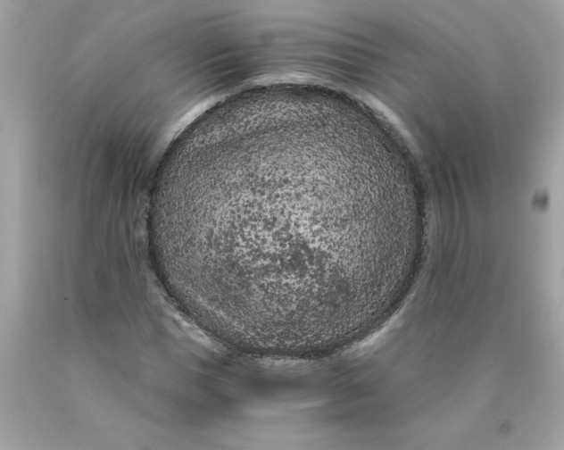 X0000089950921200707201922