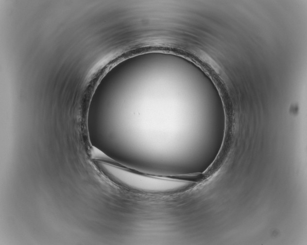 X0000089950922200707201922