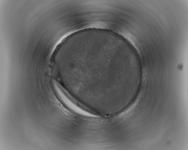 X0000089950923200707201922