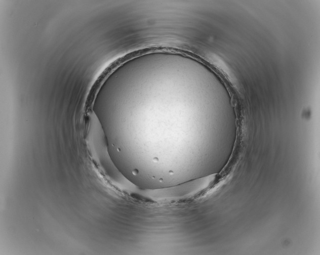 X0000089950924200707201922