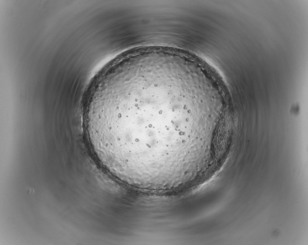 X0000089950925200707201922