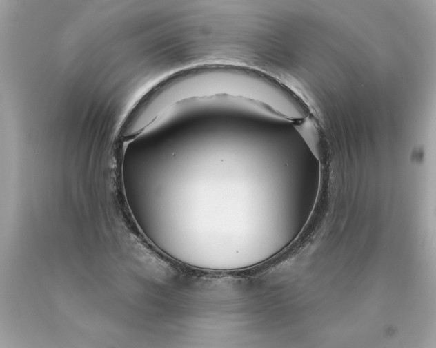 X0000089950926200707201922