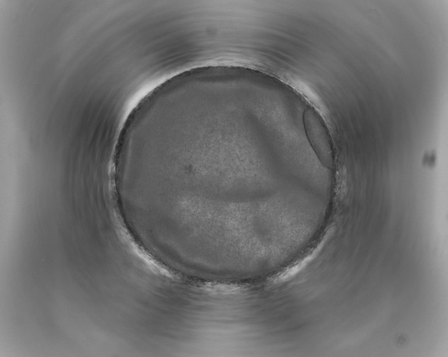 X0000089950928200707201922