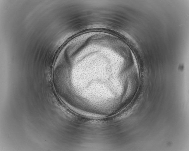 X0000089950929200707201922