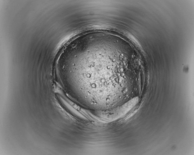 X0000089950930200707201922