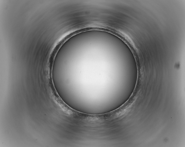 X0000089950931200707201922