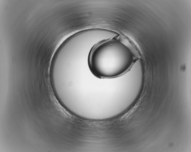 X0000089950932200707201922