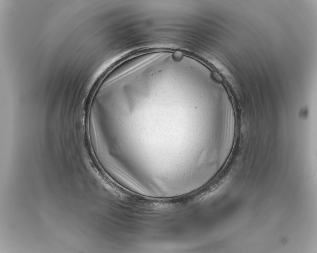 X0000089950933200707201922