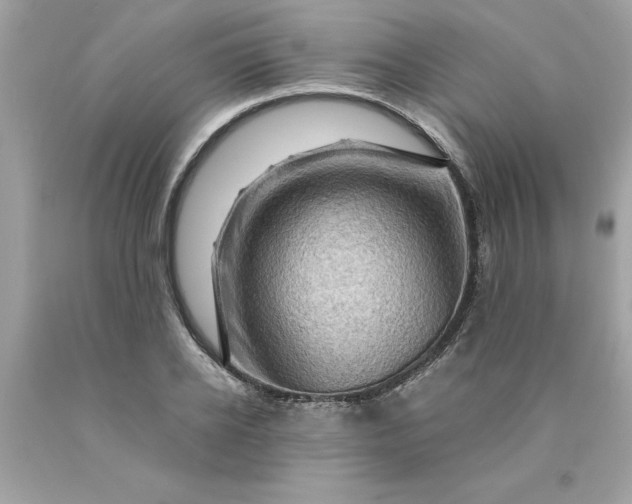 X0000089950934200707201922