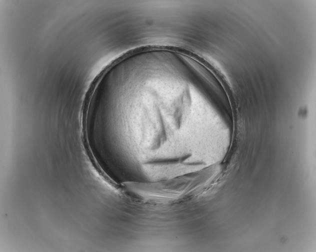 X0000089950935200707201922