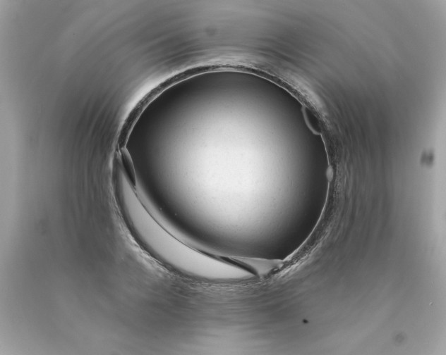 X0000089950936200707201922