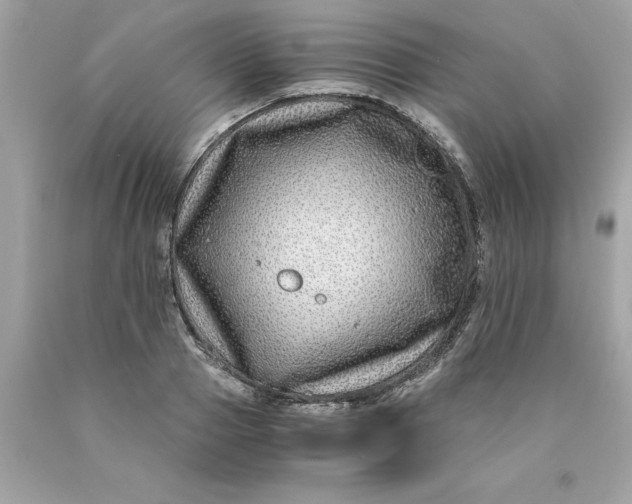 X0000089950937200707201922