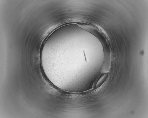 X0000089950938200707201922