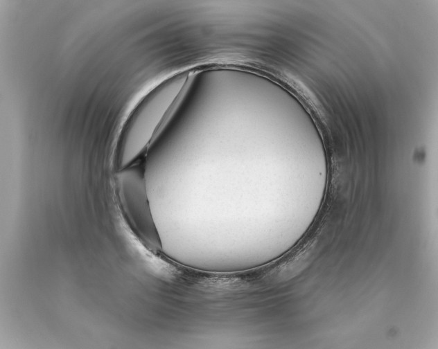 X0000089950939200707201922