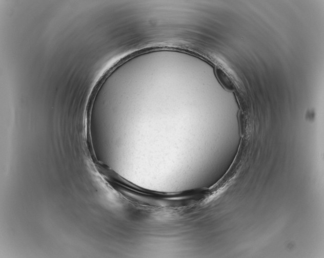 X0000089950940200707201922