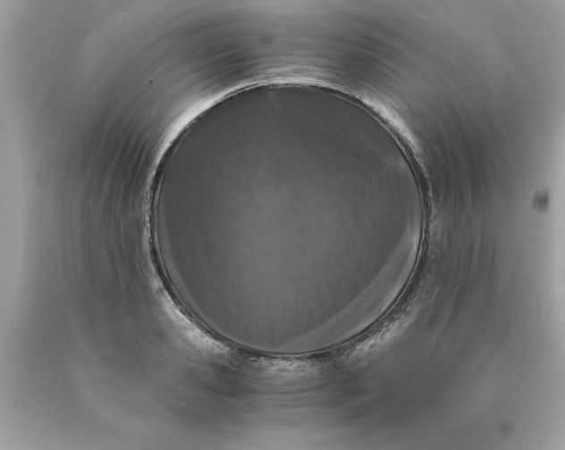 X0000089950941200707201922