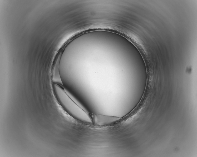 X0000089950942200707201922