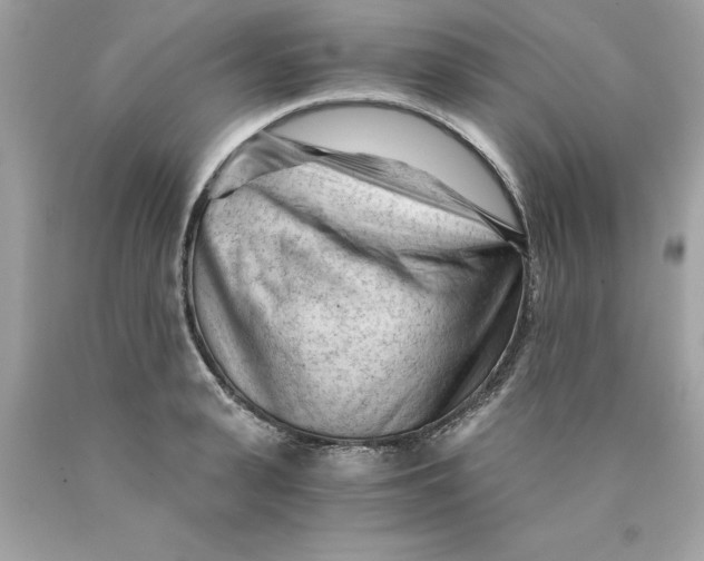 X0000089950943200707201922