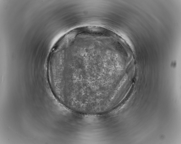 X0000089950944200707201922