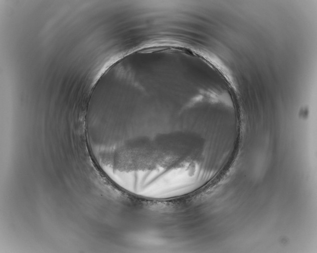 X0000089950945200707201922