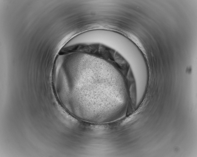 X0000089950946200707201922