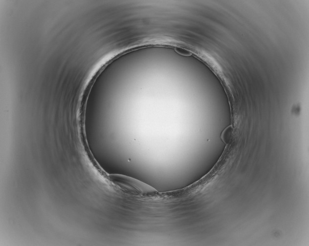 X0000089950947200707201922