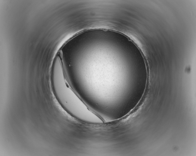 X0000089950949200707201922