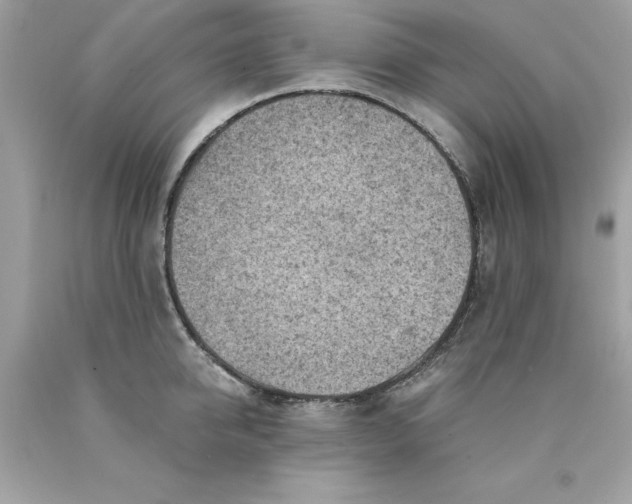 X0000089950950200707201922