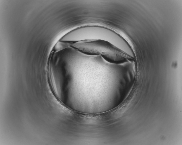 X0000089950951200707201922