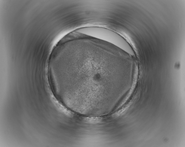 X0000089950952200707201922