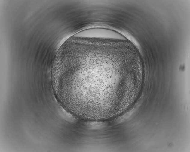 X0000089950953200707201922