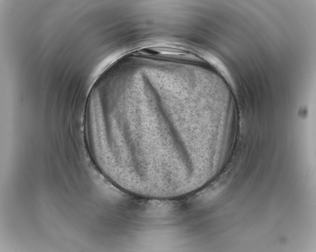 X0000089950954200707201922