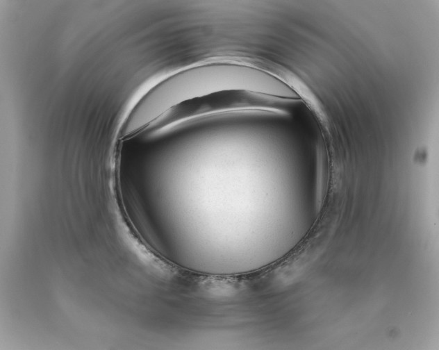 X0000089950955200707201922