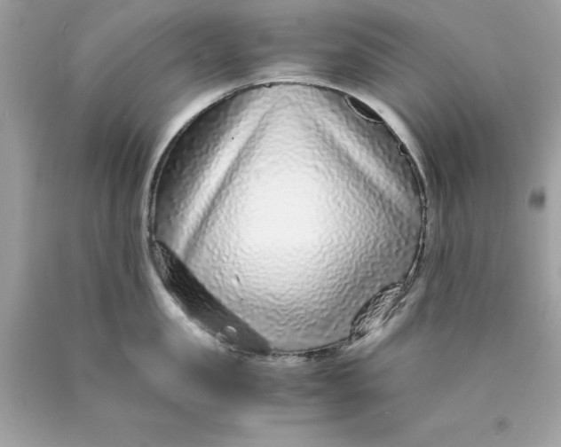 X0000089950957200707201922