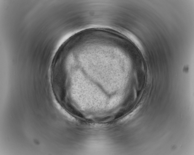 X0000089950958200707201922