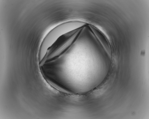 X0000089950959200707201922