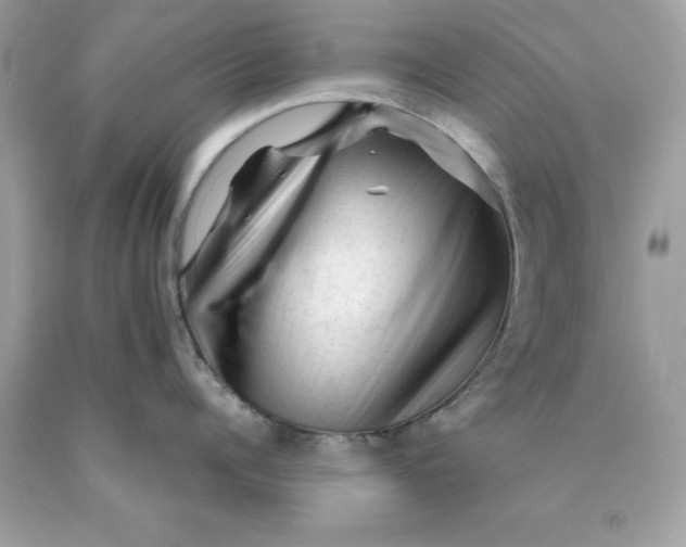 X0000089950960200707201922