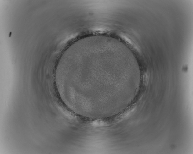 X0000089950961200707201922