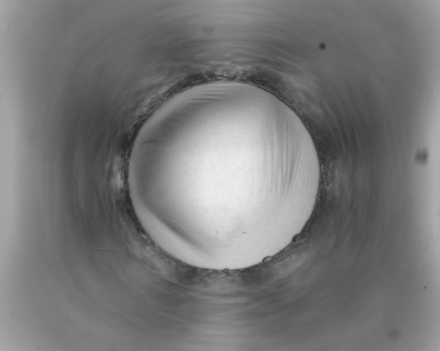 X0000089950962200707201922