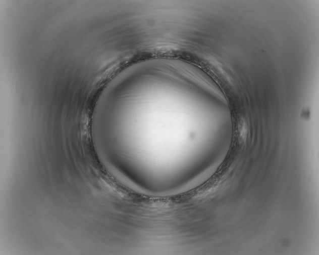 X0000089950964200707201922