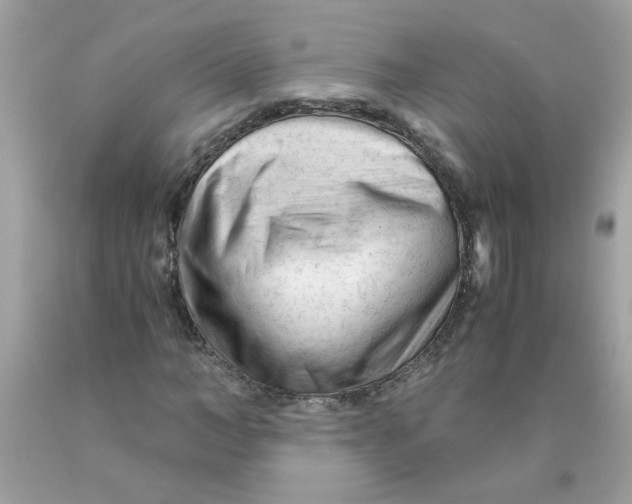 X0000089950966200707201922