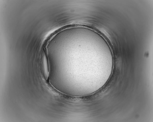 X0000089950971200707201921