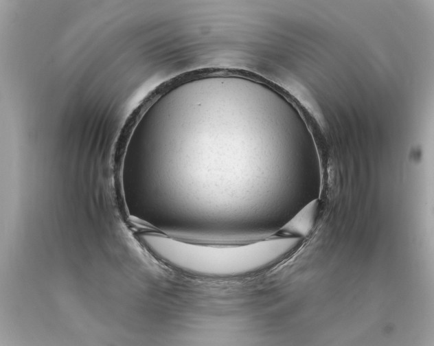 X0000089950972200707201921